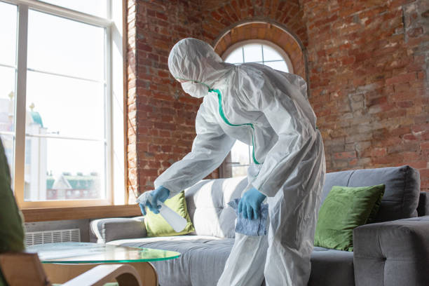 Reliable South Pasadena, CA Mold Removal Services Solutions